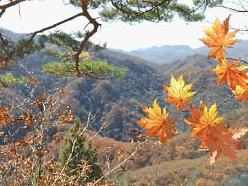 米菲打胎药在线购买打胎和药流最合适（打胎和药流哪个好）